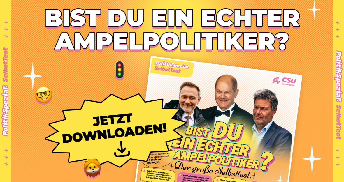 SelbstTest - Bist du ein guter Ampelpolitiker? SelbstTest - Bist du ein guter Ampelpolitiker?