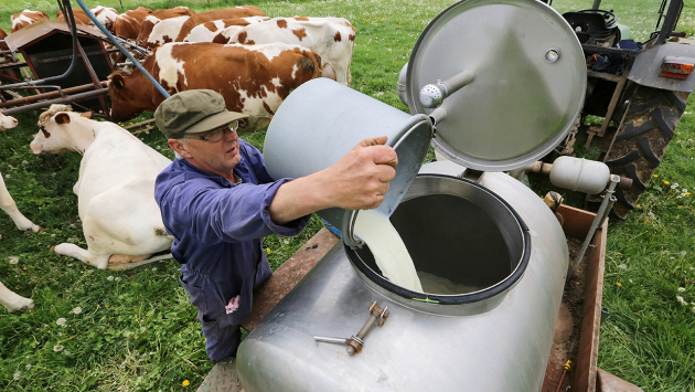 Milchbauer auf dem Feld