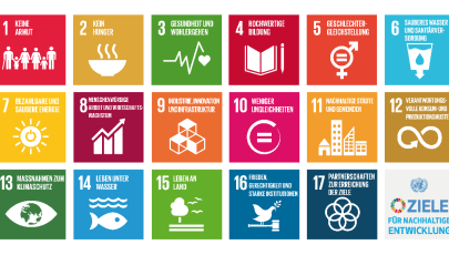 Grafik Ziele für nachhaltige Entwicklung