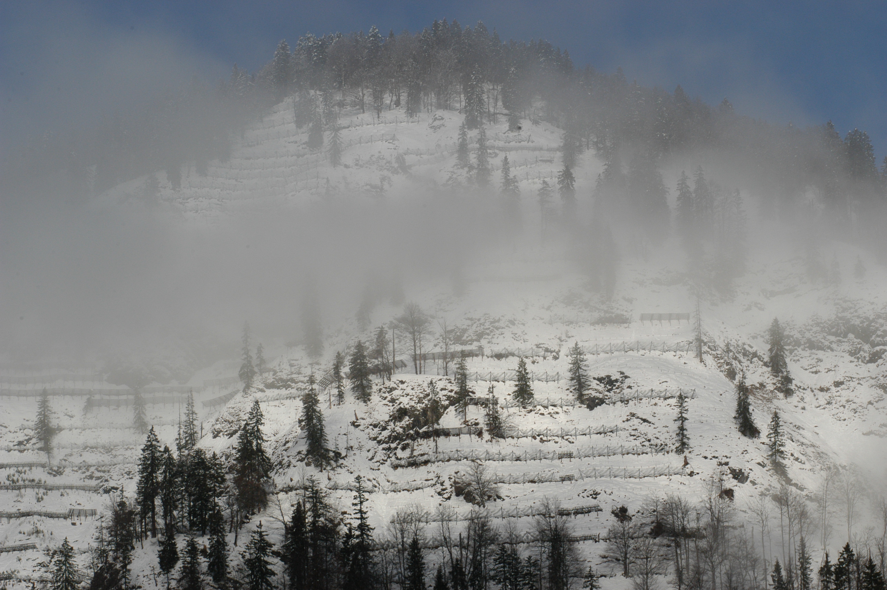 Kreuth im Nebel