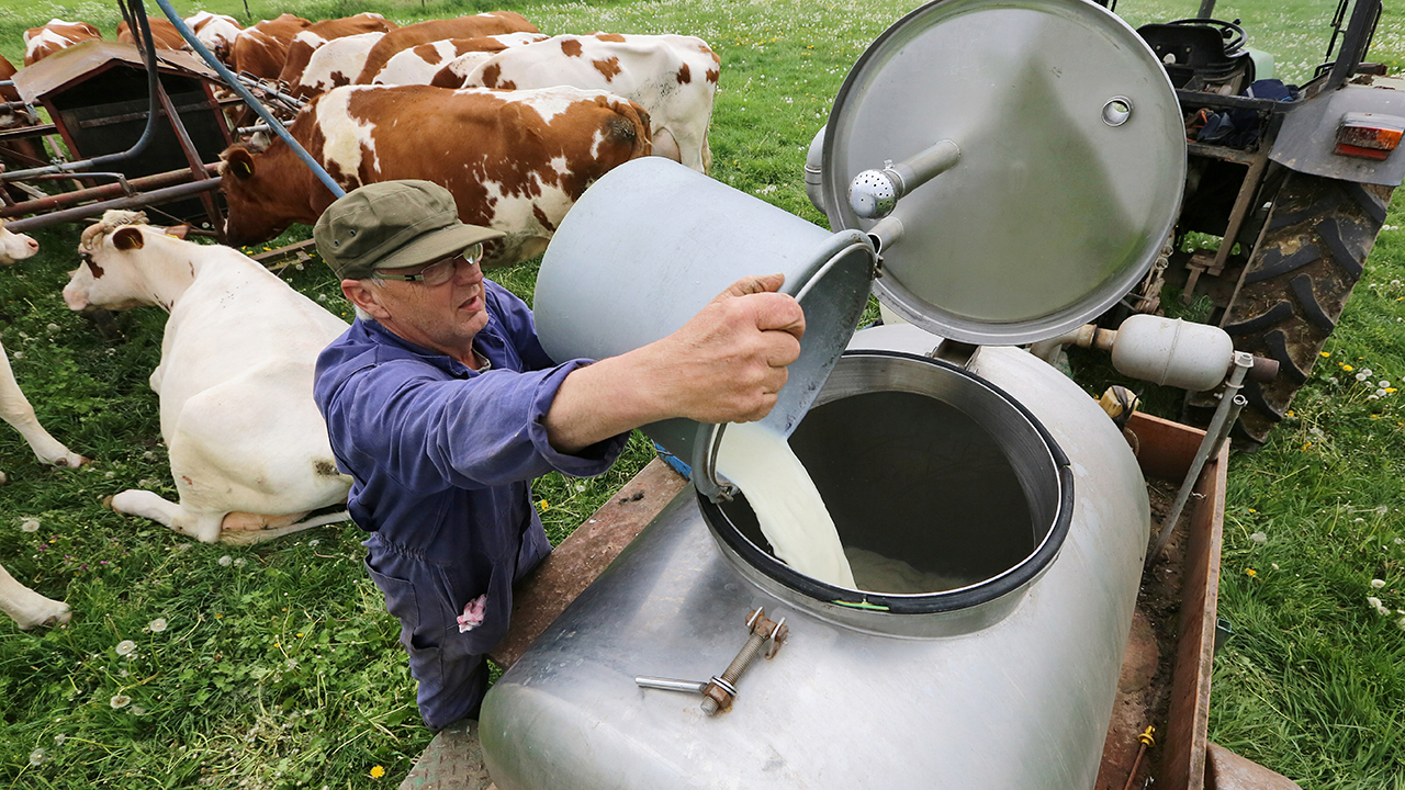 Milchbauer auf dem Feld
