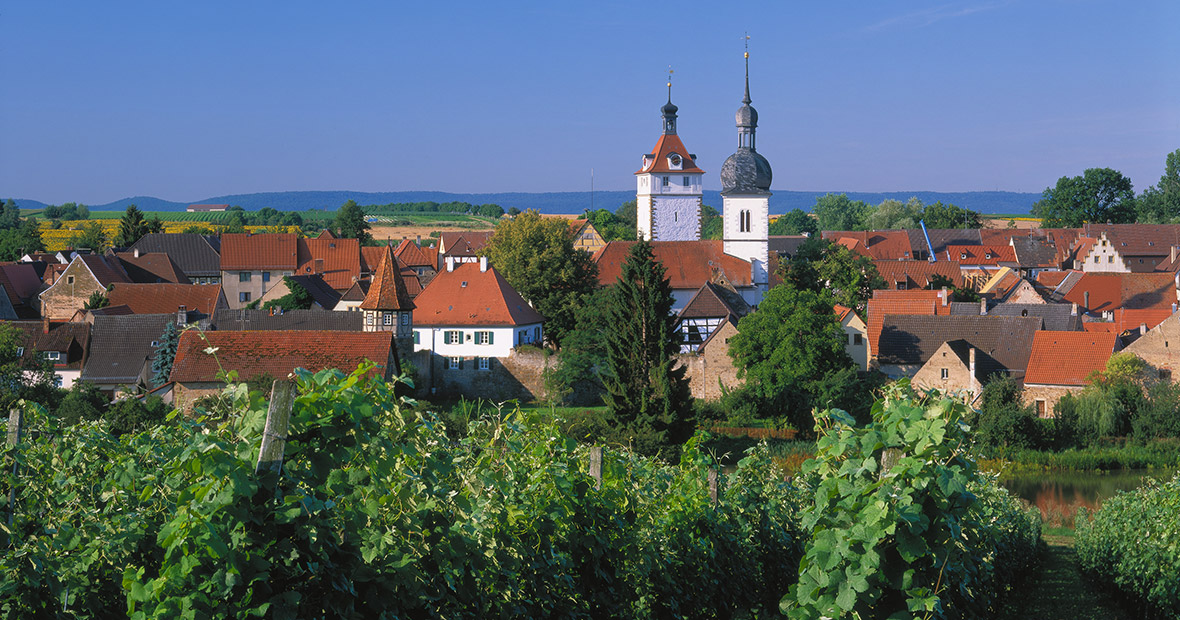 Weinberg mit Blick nach Prichsenstadt