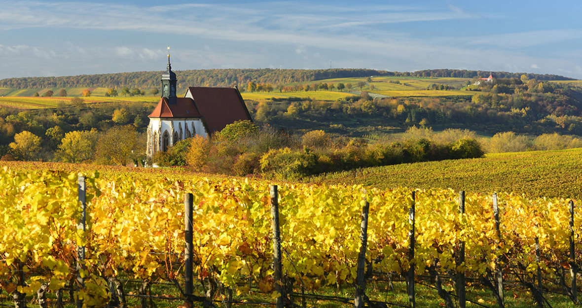 Herbstlicher Weinberg in Volkach