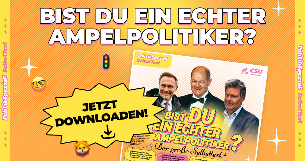 SelbstTest - Bist du ein guter Ampelpolitiker?