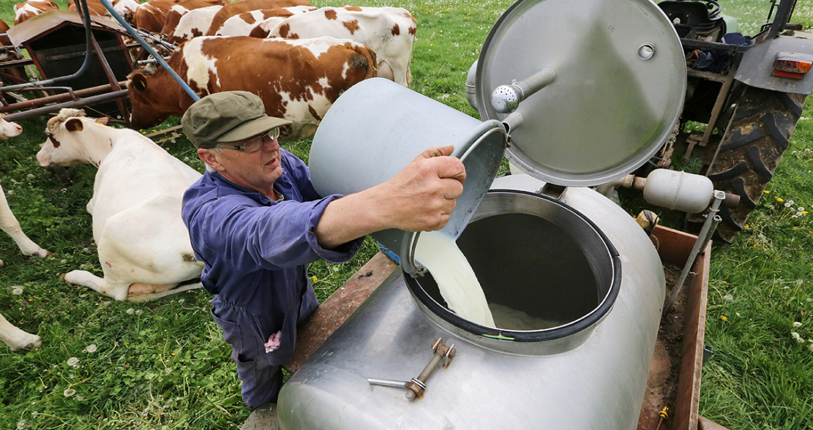 Milchbauer auf dem Feld