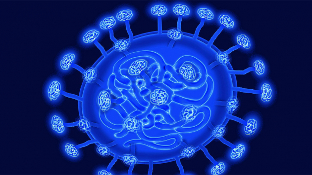 Illustration eines Coronavirus