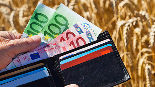 Mann zeigt vor einem reifen Weizenfeld Euroscheine in einer Brieftasche 490x275
