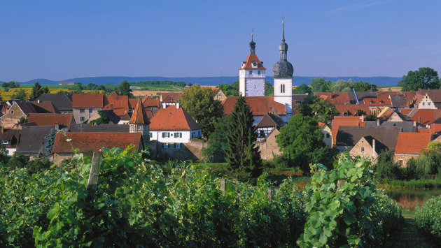 Weinberg mit Blick nach Prichsenstadt