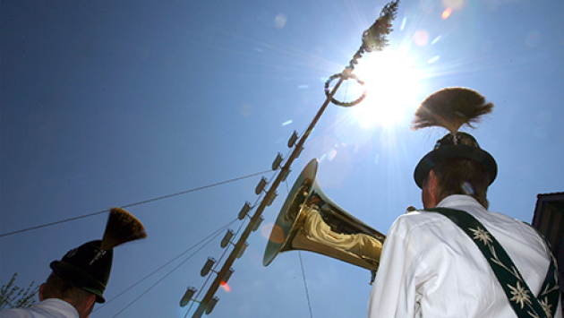 Mitglieder eines Musikvereins spielen auf, während ein Maibaum in die Senkrechte gezogen wird_490x275