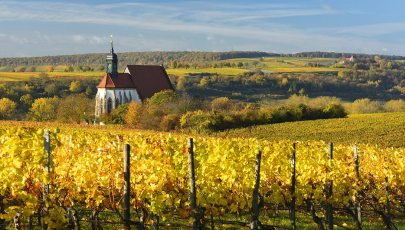 Herbstlicher Weinberg in Volkach