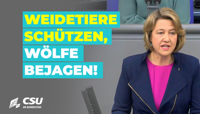 Dr. Anja Weisgerber im Plenum des Deutschen Bundestages