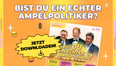 SelbstTest - Bist du ein guter Ampelpolitiker?
