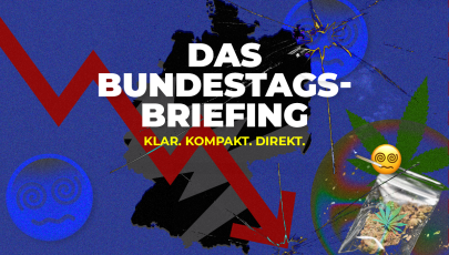 Sharepic Bundestags-Briefing