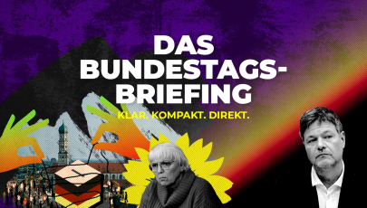 Sharepic Newsletter Bundeshaushalt 2024