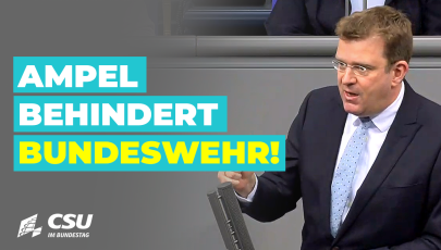 Dr. Reinhard Brandl im Plenum des Deutschen Bundestages