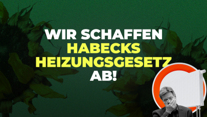 Wir schaffen Habecks Heizungsgesetz ab!