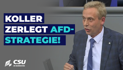 Hans Koller im Plenum des Deutschen Bundestages